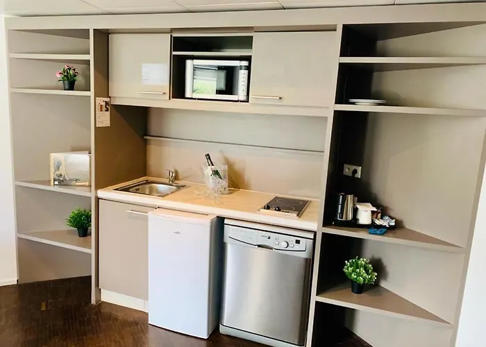 Quality Only Cdg Airport En France Roissy-en-France